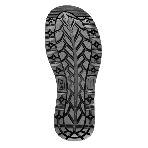 RF@00 Otus Sole - Low Res