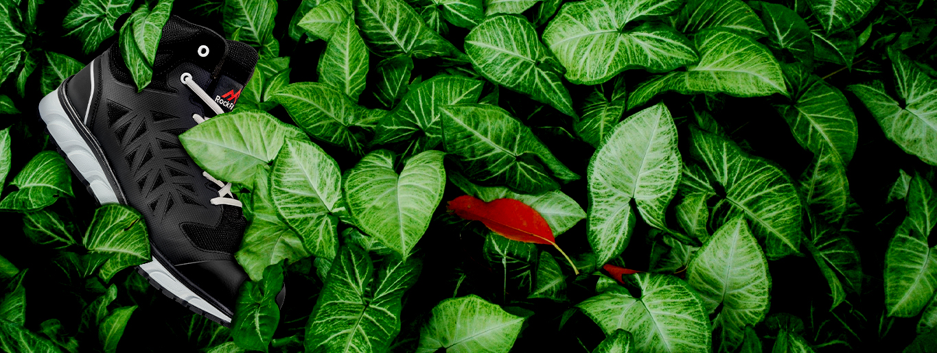 shoe in the leaves covered